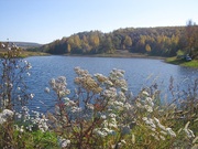 Продается пруд 77 км от Саратова S пруда 6.4 га + земля (сад) 60 га
