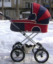 детская коляска зими-лето